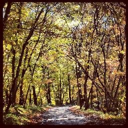Postdoc, Runner, and Lover of Horticulture