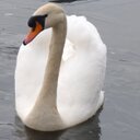 Janet souter - @Janet97909523 - Twitter