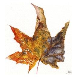 G_Slattery_Art's profile picture. Artist, Painter