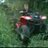han_bommel's profile image