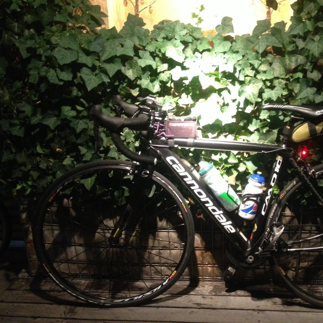 919Rmnbr's profile picture. 自転車は寝落ち    寝衣でゲンを担ぐのが悪化しています。勝率とか対戦成績とか気にし始めてます。 横浜勝ったらプロ野球ニュース