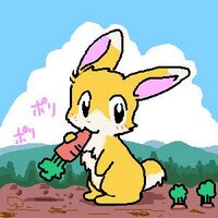Lapin (@rabbitz1229) 's Twitter Profile