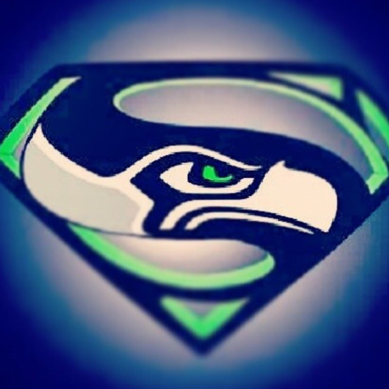 GSteinlight's profile picture. Dem seahawks tho
