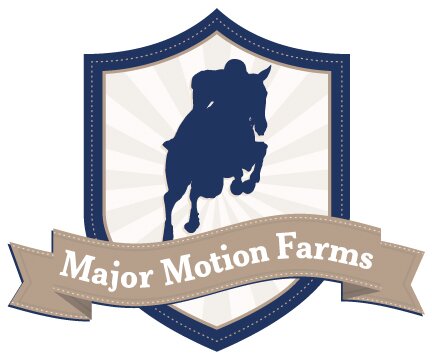 Premier equestrian training & lessons. Beginner lessons to advanced training. We have years of experience at the highest level of show jumping.