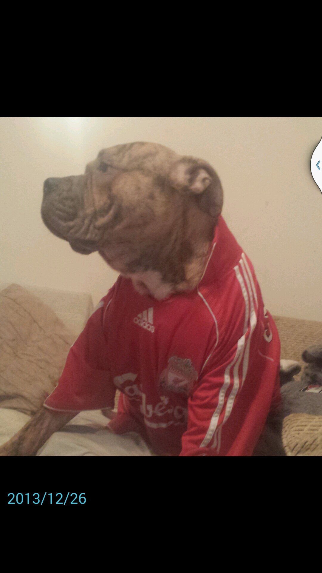 ynwa jft96