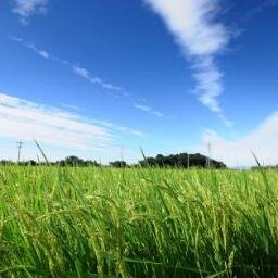 サラリーマンをやりながら副業でちょこっと稼いでいるシエンタです！無料で貰える有益情報など呟いていきます！