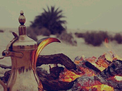 f_98629's profile picture. (( حسابي للجميع مفتوح ، ولكن الغلط غير مسموح )) : حسابي بالإنستغرام : fawazalshammeri