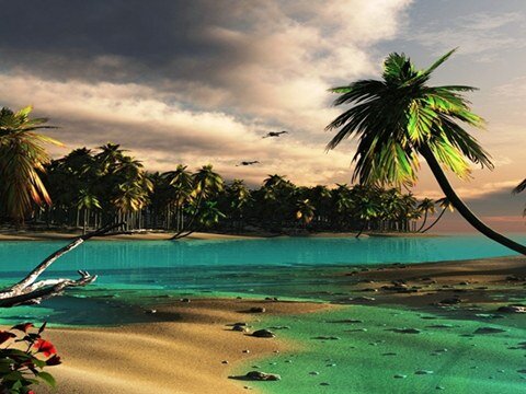 oscarb1983's profile picture. 