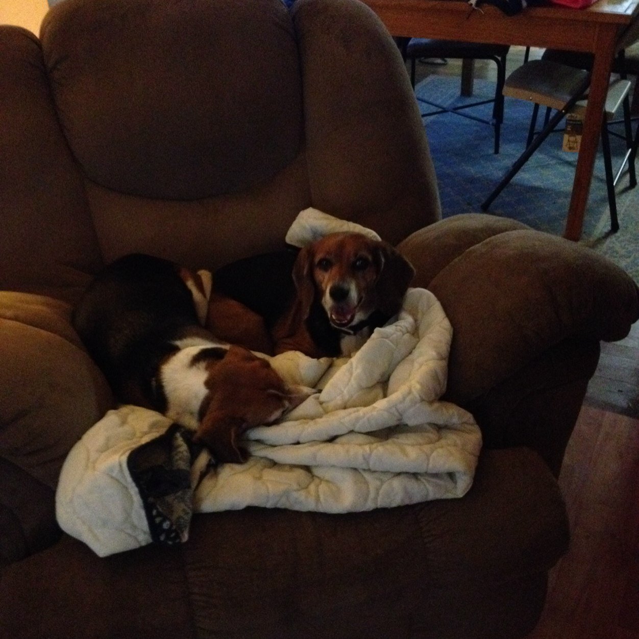 sammiwv1969's profile picture. 