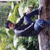 Anton Wae (@aw_wae) Twitter profile photo
