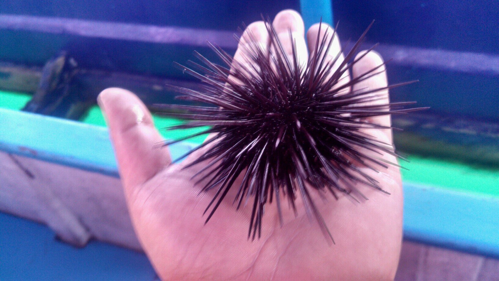 Feli0872's profile picture. 