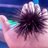 Feli0872's profile image