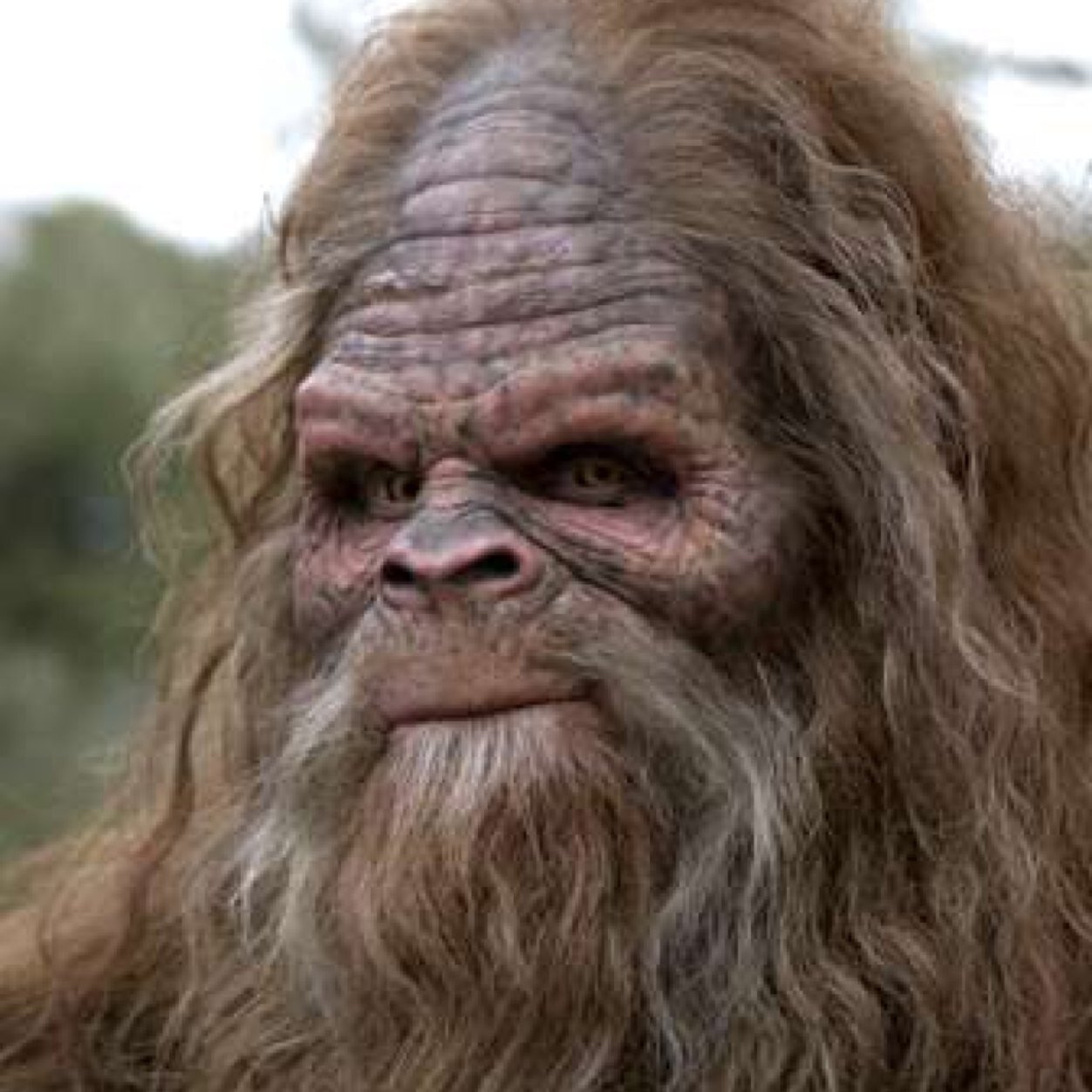 From the Appalachian Mountains. I do alot of squatchy things! I love messing with humans!