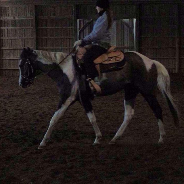 AllAroundProbs's profile picture. The original #AllAroundProblems account.