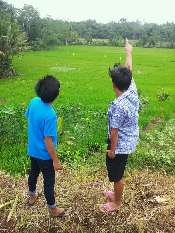 pengetahuan adalah kehidupan....