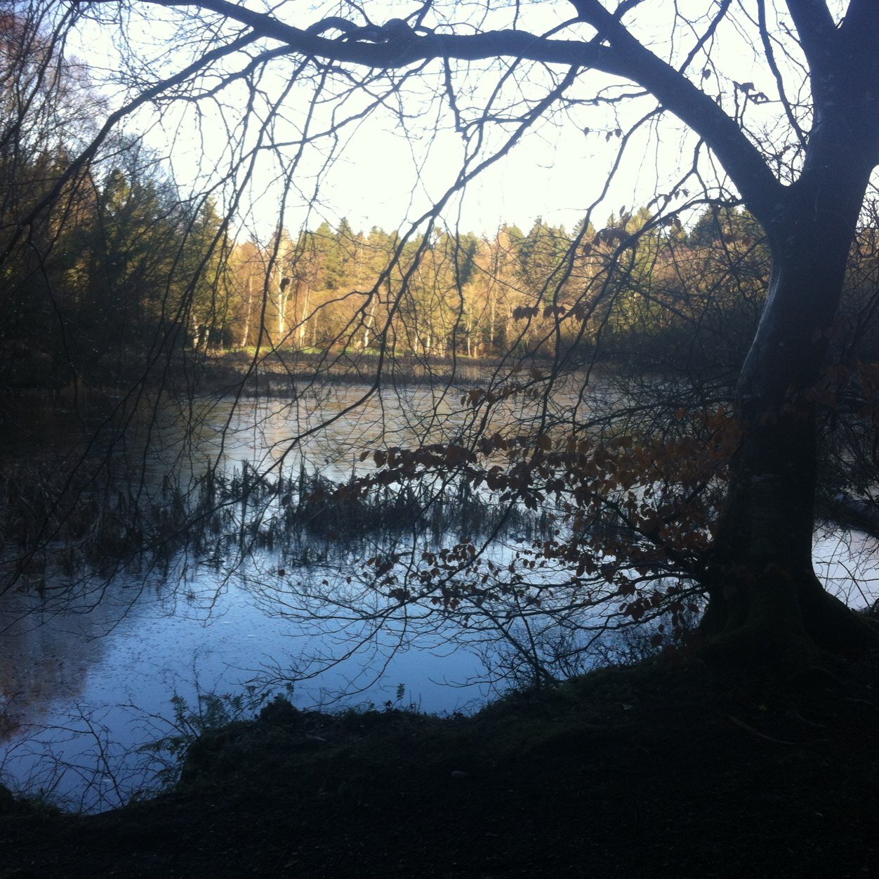 EithneMcG's profile picture. Wife of 1, mammy of 3, teacher of many.