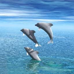 tojamulali45's profile picture. 