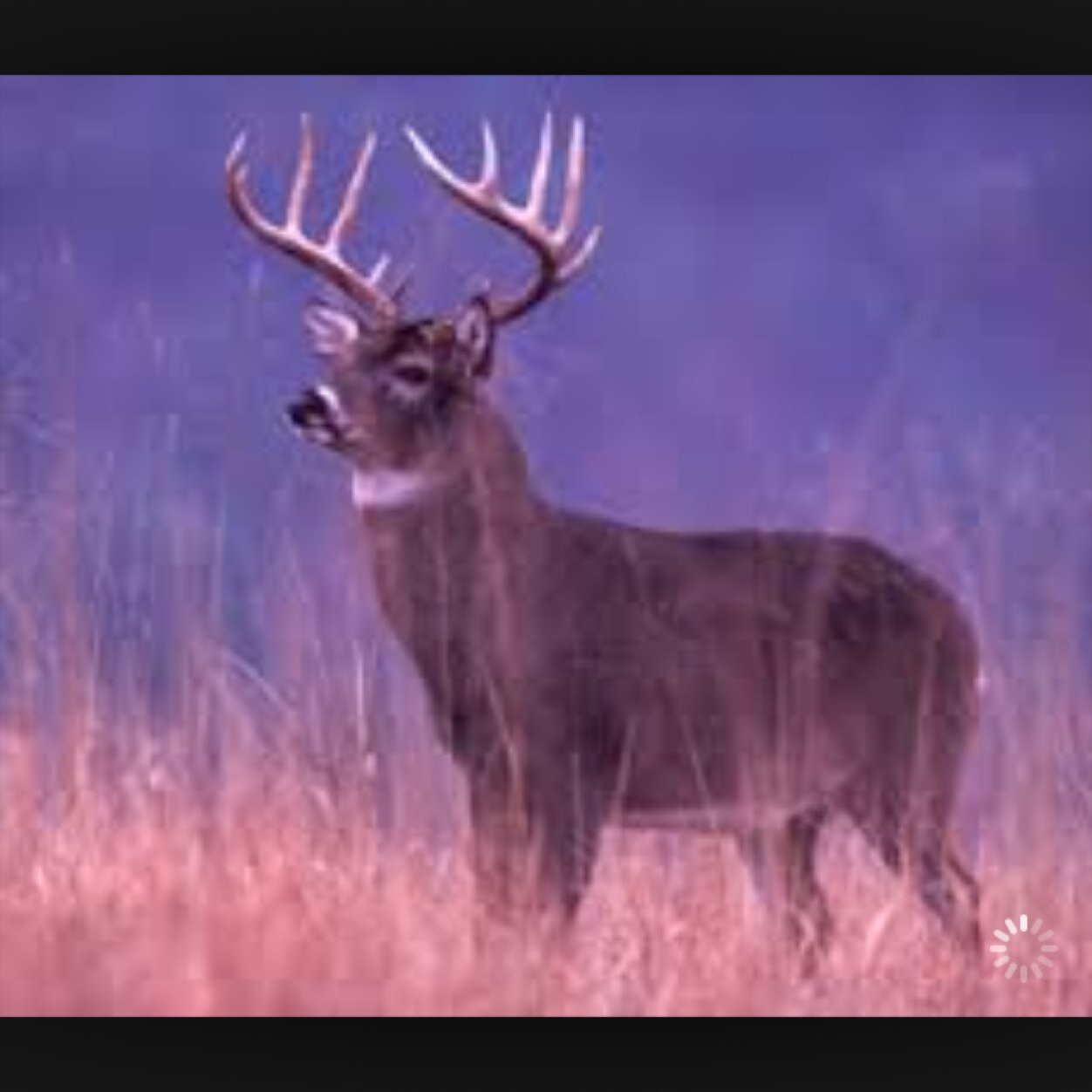 GPlasters's profile picture. 