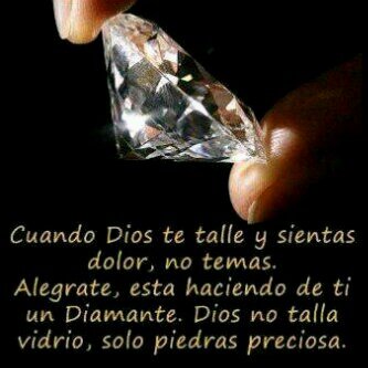 nmgr2019's profile picture. 