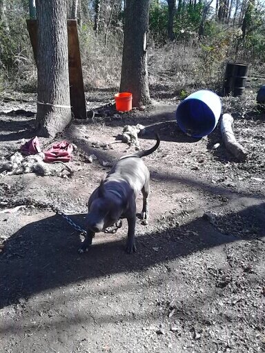 cbradley601's profile picture. 