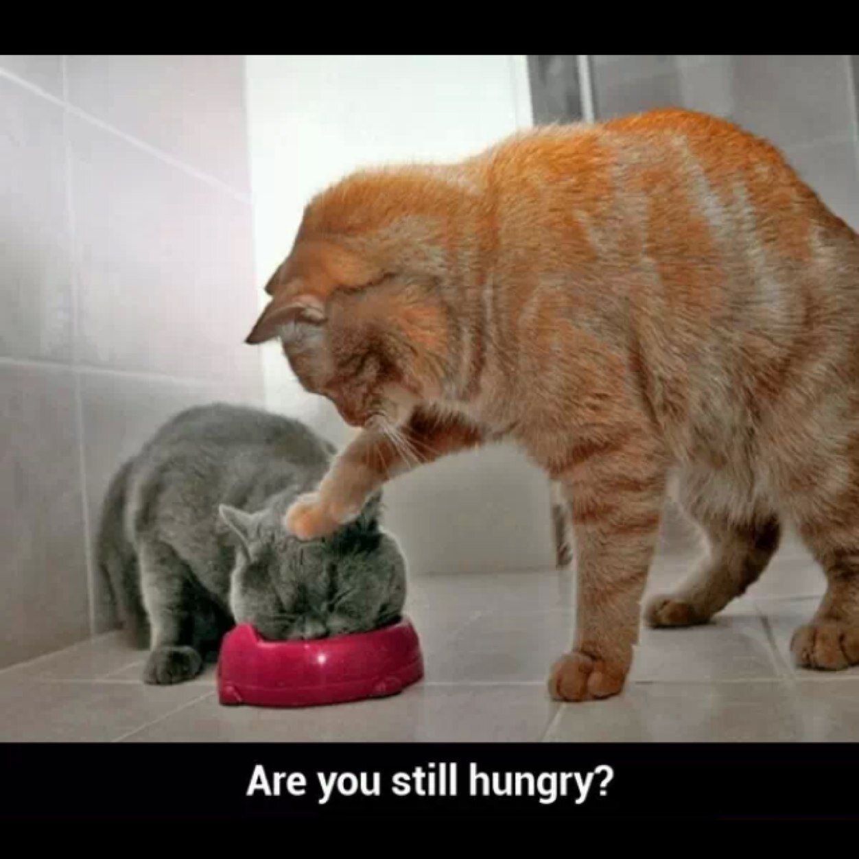 EliT3StyleszZ's profile picture. 