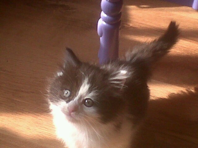 rosieribs's profile picture. Wife, mum,carer, laundry maid,cleaner, referee, teacher and the list goes on...married to a miserable git most of the time!!, love reading and drinking wine.