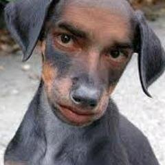 abilawa6's profile picture. EXpRO_COMmunYTI