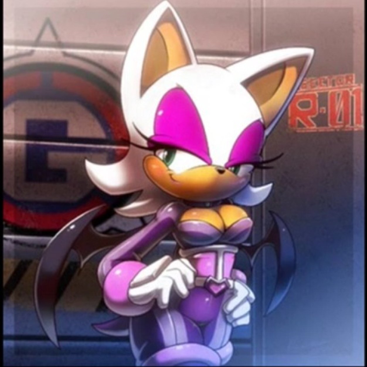 ♦️My name is Rouge the Bat. Better known as the treasure hunter so where is my jewels♦️