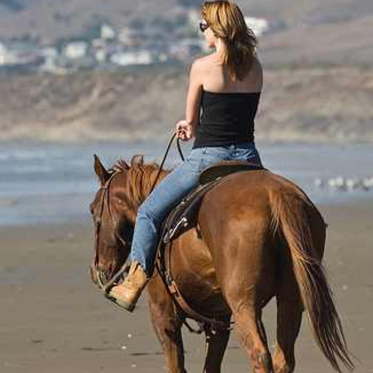 florida_belle's profile picture. Good ol' southern belle from the Sunshine State! God is great, beer is good, and people are crazy. Follow me!