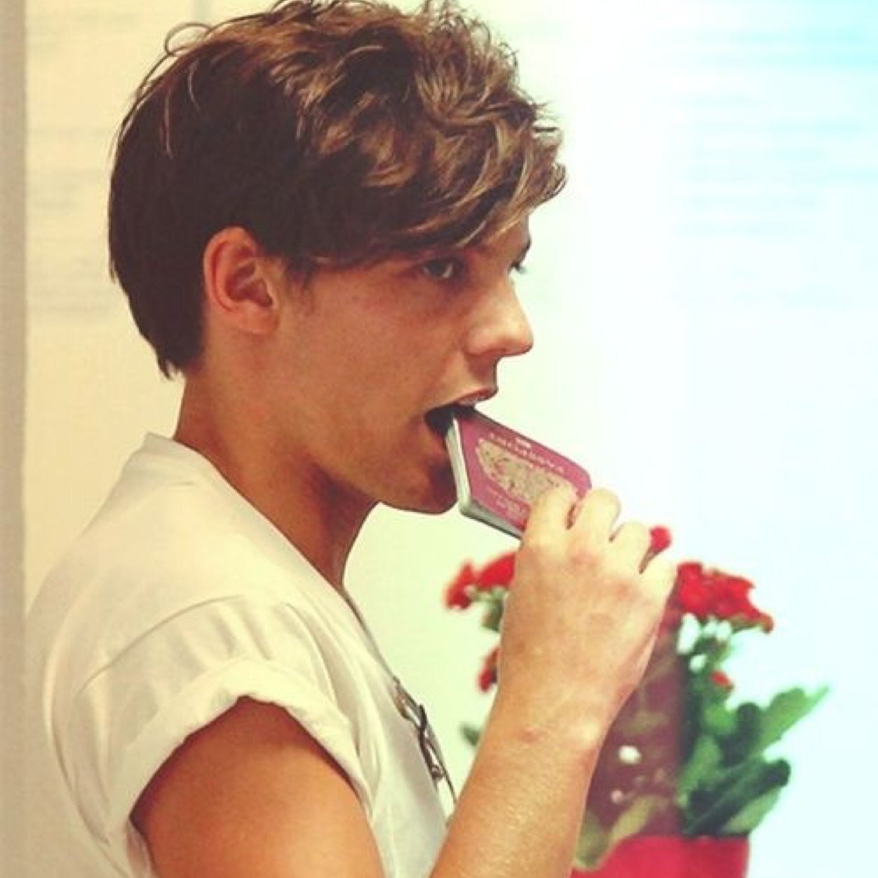 Here when El decides to kick me off and for when I talk to much. Hi im Harrys that fucker owns me apprently