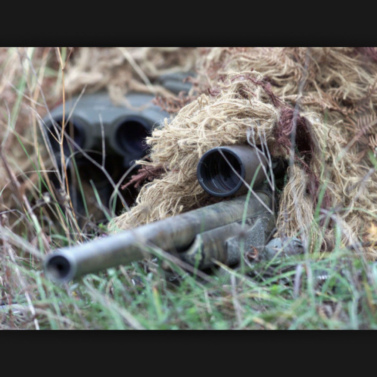 3Vsnipes's profile picture. 