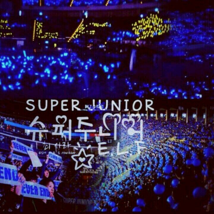 I am elf I love leetuk,donghae,kyuna,heechul ...i like friendship of suju