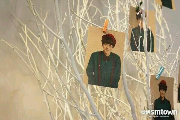 Exo Park Chanyeol Oh Sehun♥ 96 , I'm a Fangirl and Mystery Lover ^^