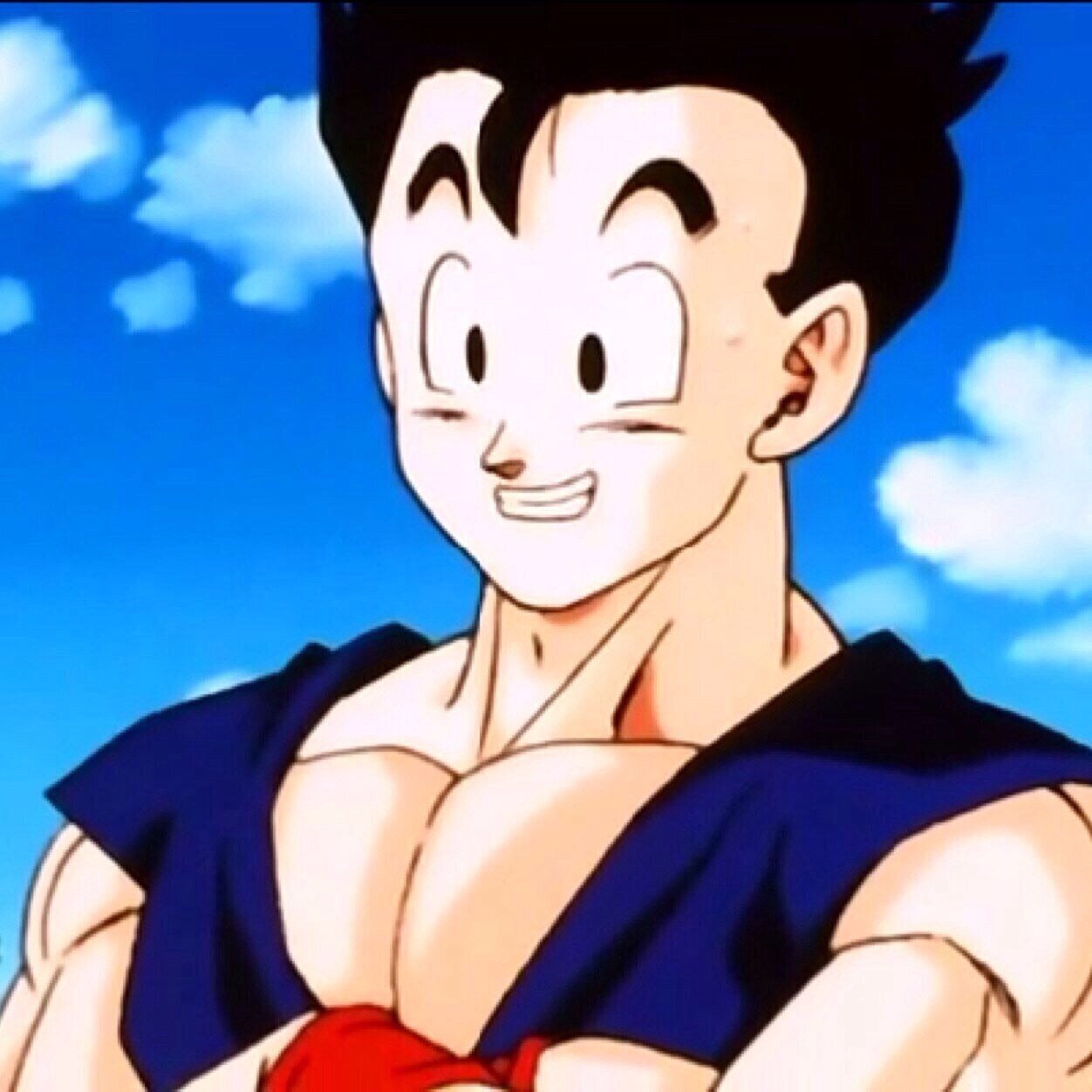 I'm Gohan, the son of @EliteSonGoku and Chi-Chi. My brother is Goten who I love and train with.