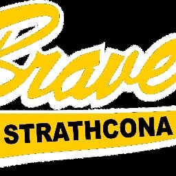 strathcona county baseball association