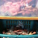 Simone Egger - @SimoneLeeEgger - Twitter