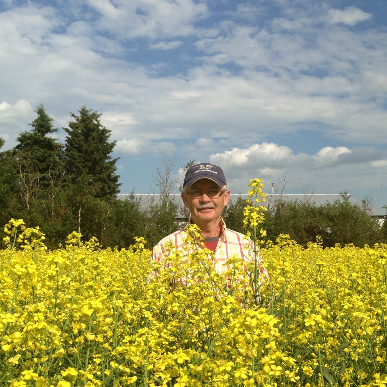 Farm in Innisfail.  We proudly raise Canola Wheat Malt Barley good cattle a few pigs and now Bees