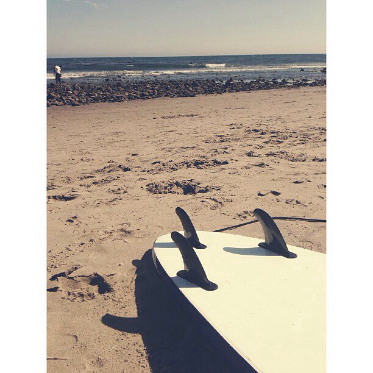 daliyworkouts's profile picture. 