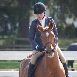 Equestrian, Traveler, Day Dreamer, and Geek