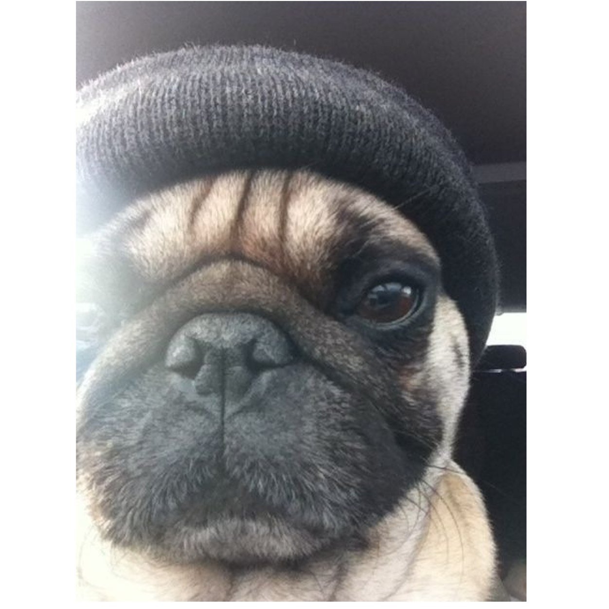 rodt_adtr's profile picture. 