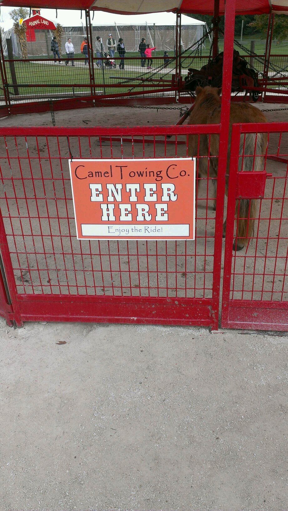 mrleejones12's profile picture. king of all bros! 100% mustard