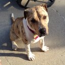 Bill Sanchez - @BillSanchez69 - Twitter