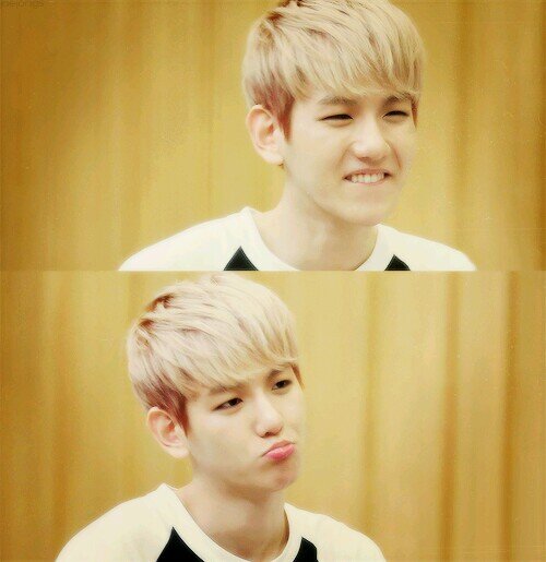 EXOstans/EXOtic | D.O, Kris, Chanyeol, Xiumin, Sehun | Wolf_88