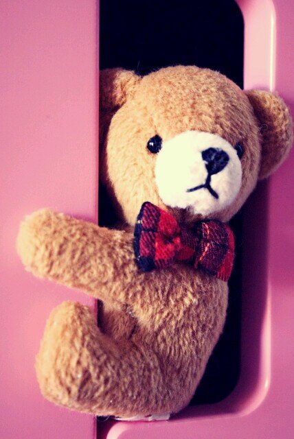 Verwjderddddddx's profile picture. 