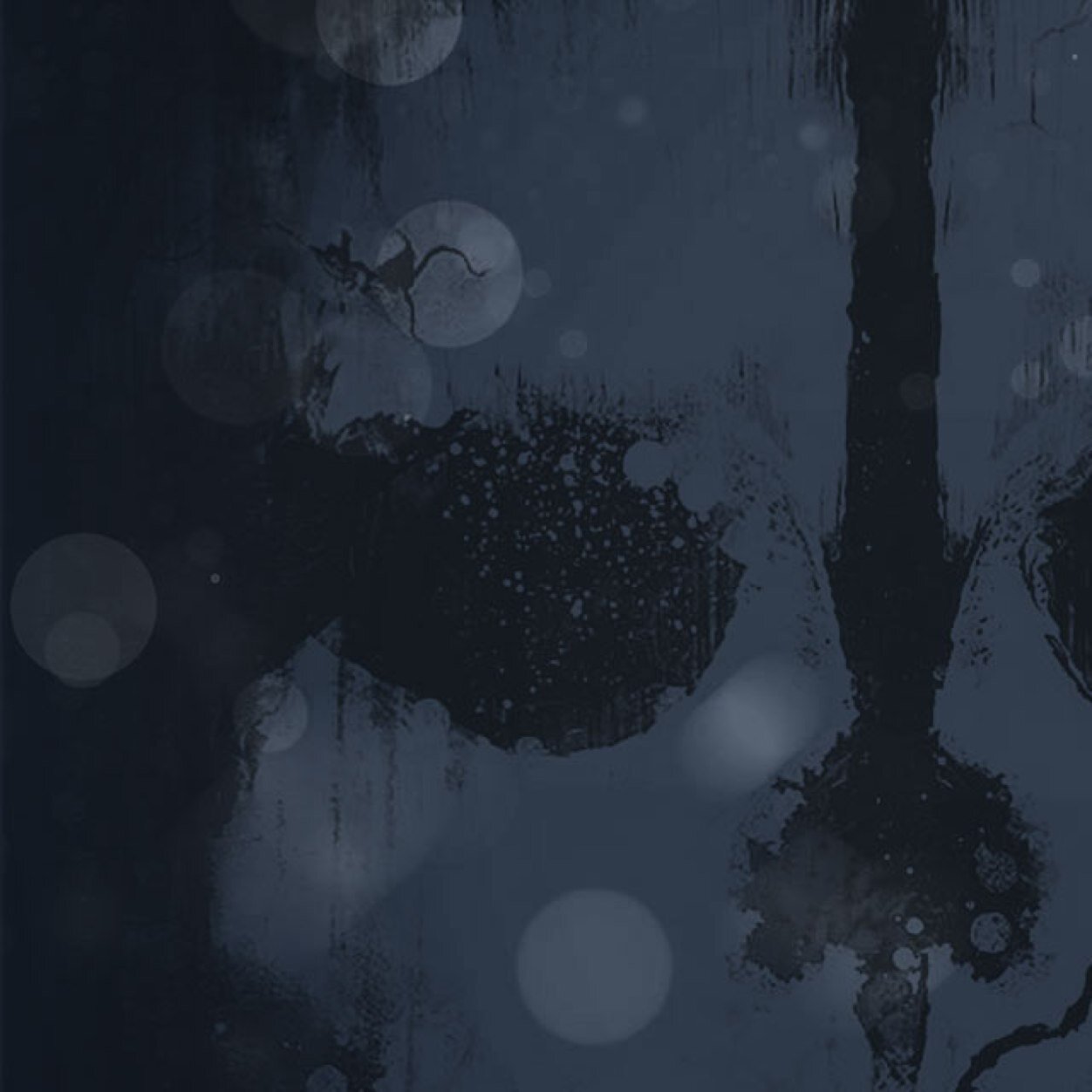 qazfeed's profile picture. Call of Duty is my life