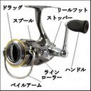 seabass ?? (@1977kazuo) Twitter
