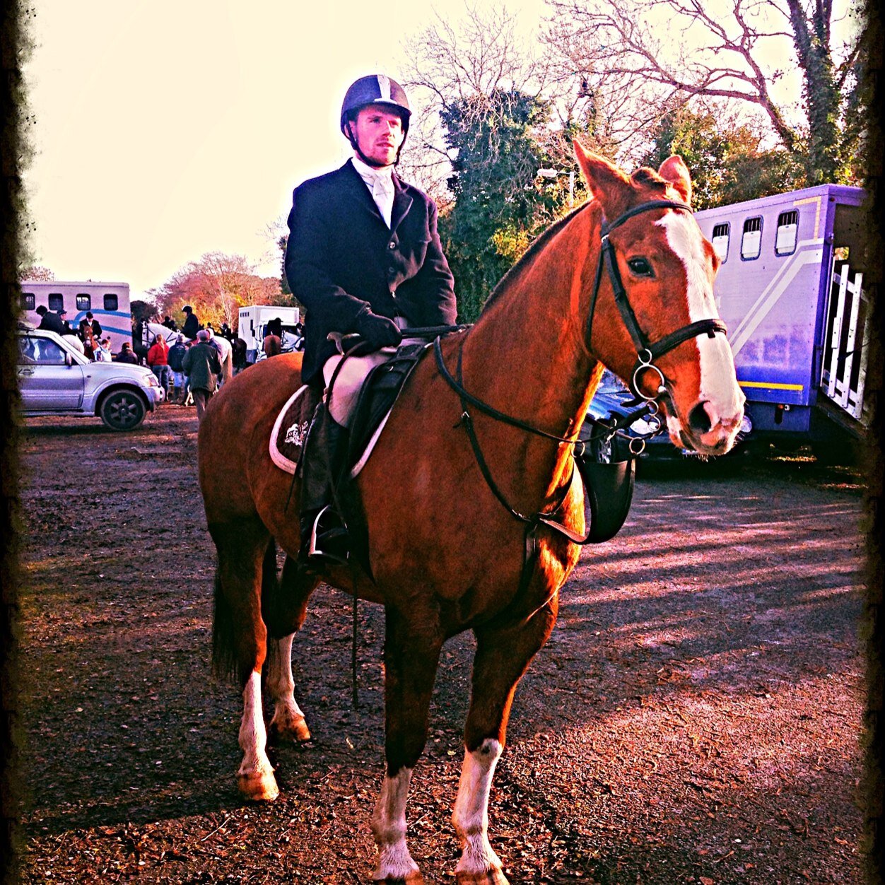 reynoldsp23's profile picture. 