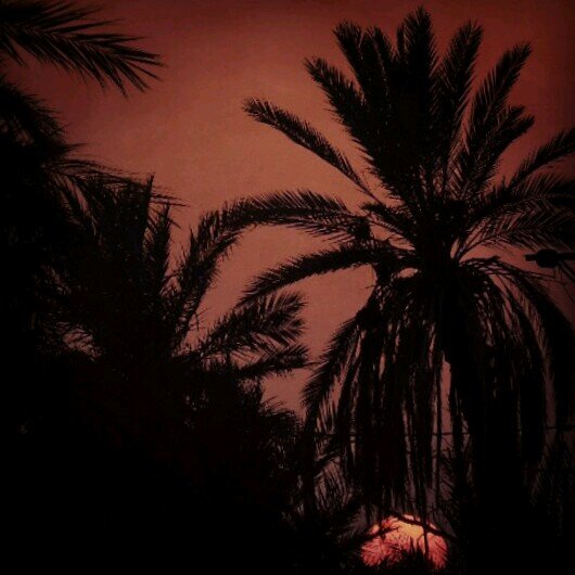 5ial_90's profile picture. anstagram:5ial_1,,,bb:74FD6422..