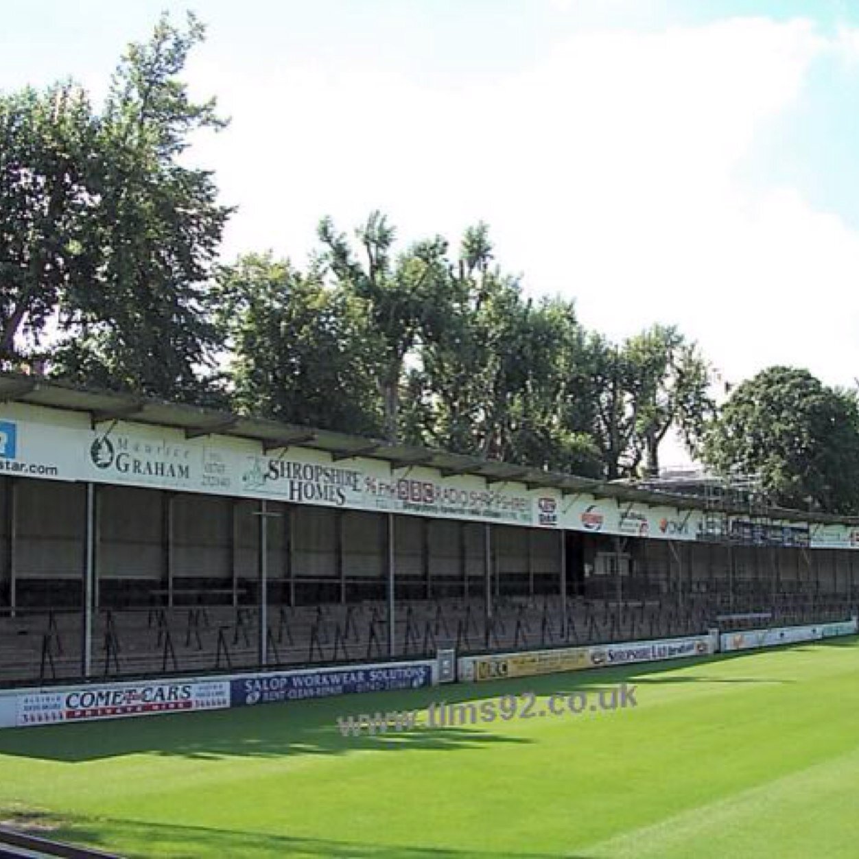 CheshireShrew's profile picture. 