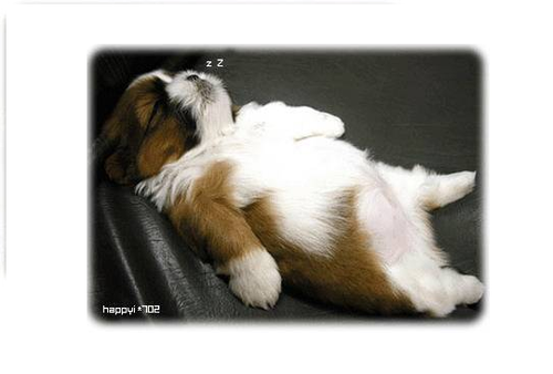 not_telling_u's profile picture. 